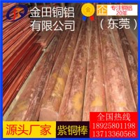 批發(fā)直銷t3紫銅棒-t8大規(guī)格紫銅棒，t5超硬紫銅棒